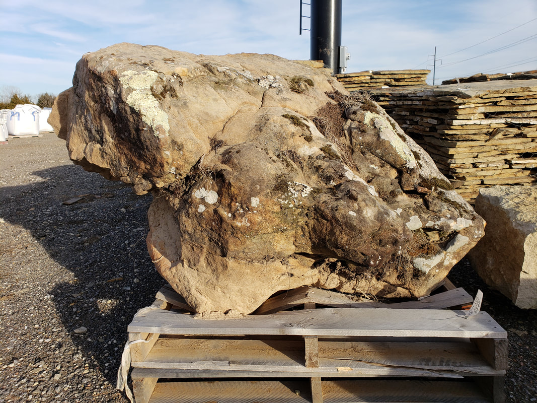 Moss Rocks, Rock n Redgum